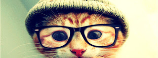 capa facebook gato oculos