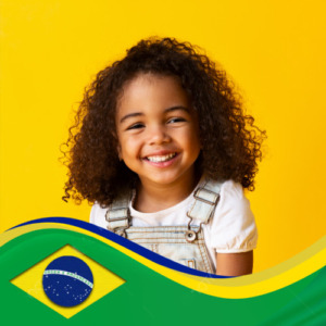 perfil-bandeira-brasil-copa-preview
